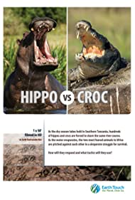 Hippo vs Croc (2014)